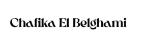 Logo partenaire
